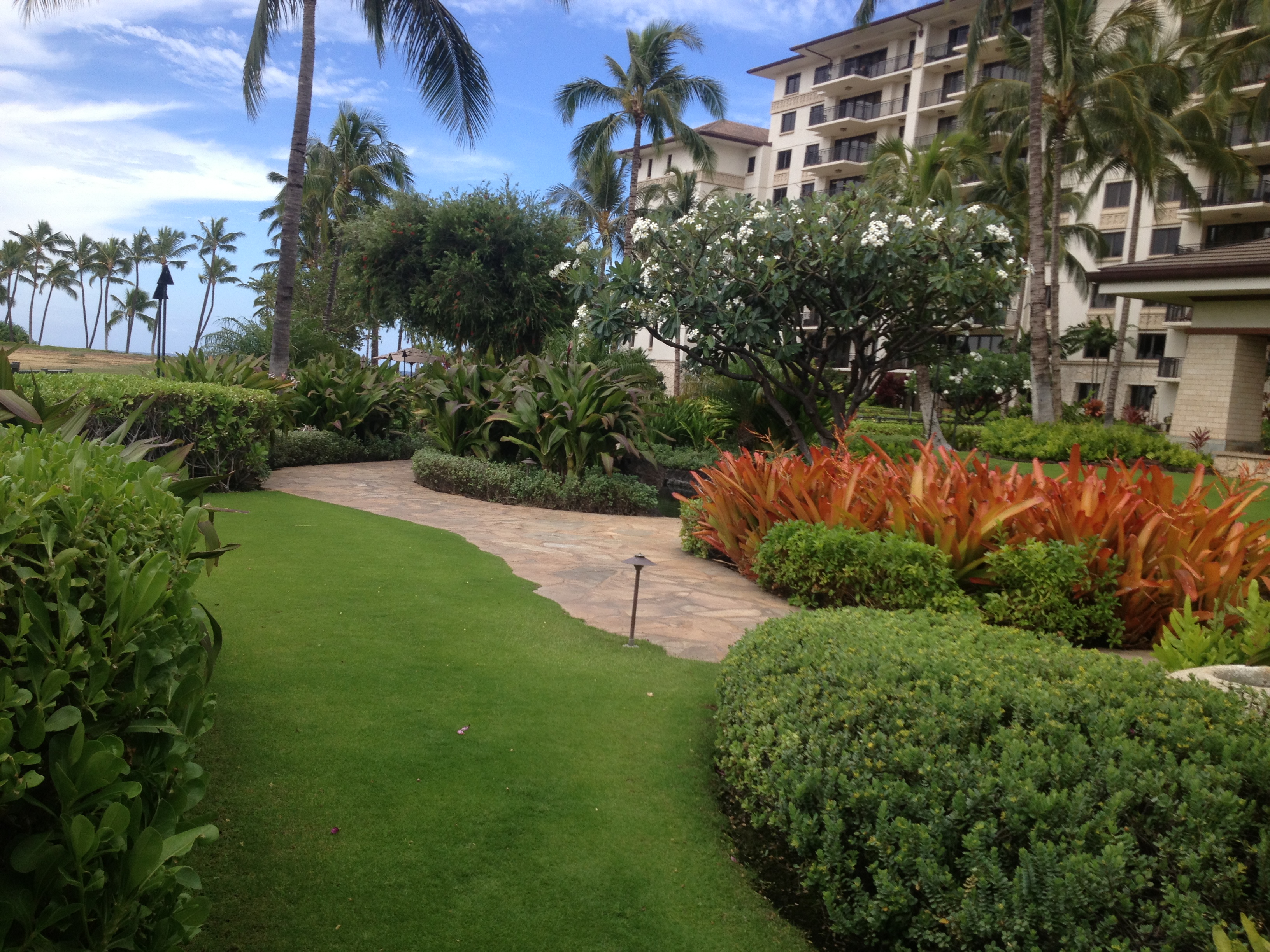 Landscape Maintenance Professionals