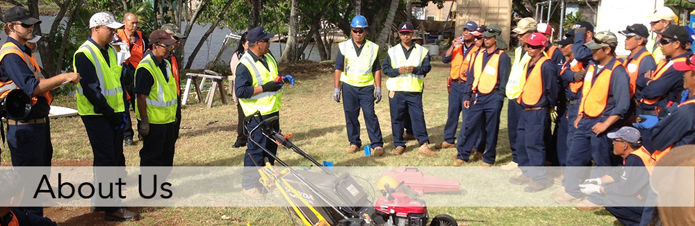 About Performance Landscapes