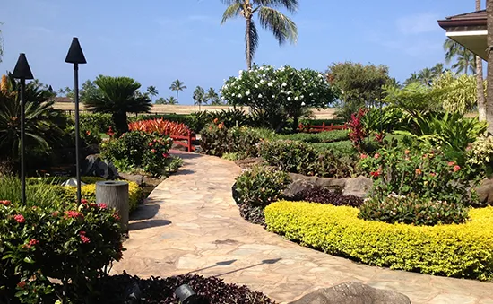 Commercial Landscaping Company in Honolulu, HI